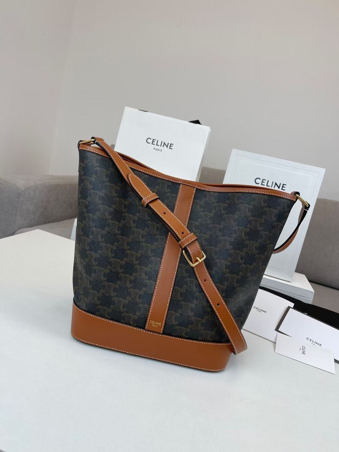 Celine Medium Bucket Bag In Triomphe Canvas and Calfskin