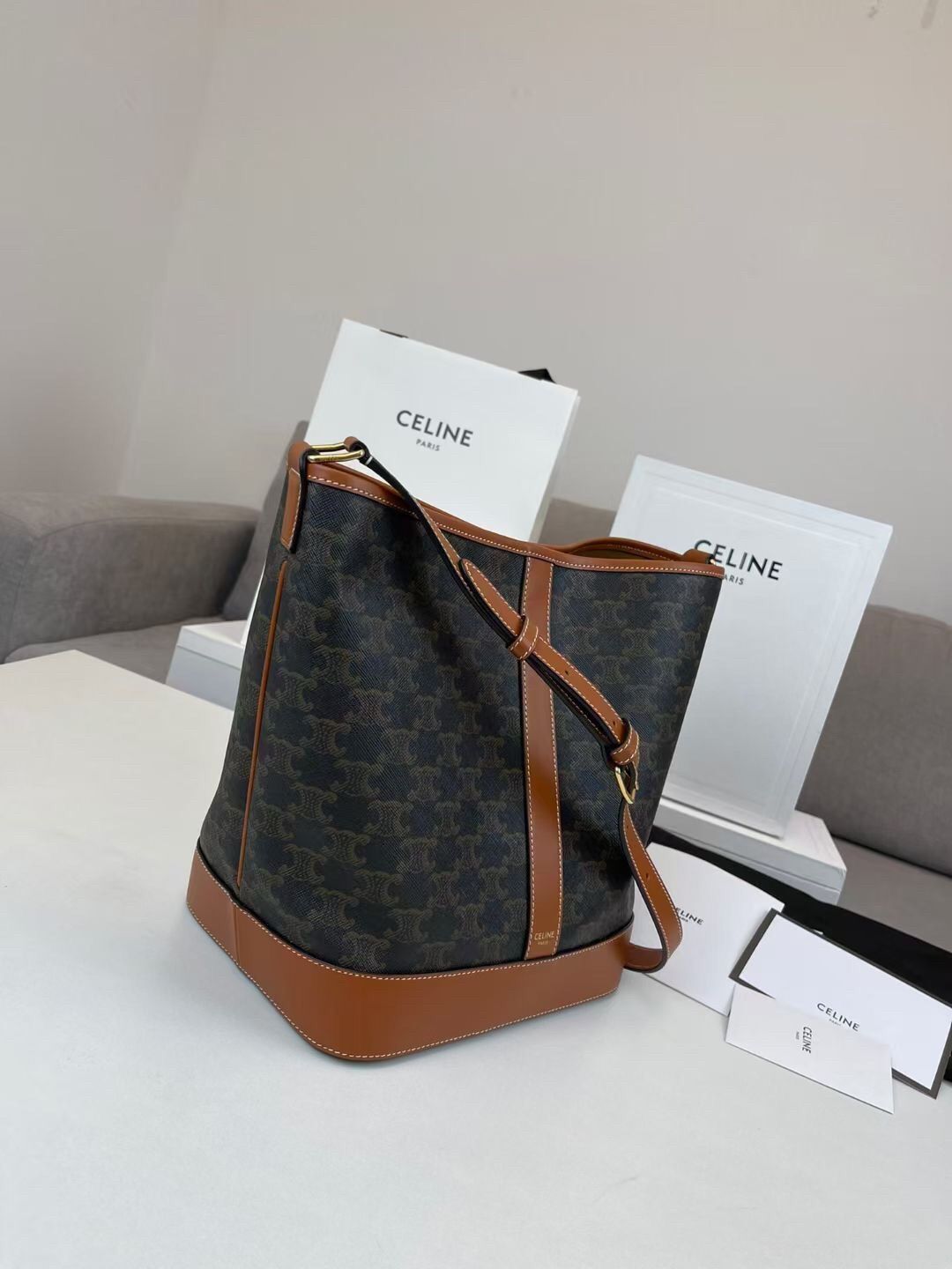 Celine Medium Bucket Bag In Triomphe Canvas and Calfskin