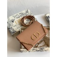 Dior 30 Montaigne 2 In 1 Belt Bag In Poudre Calfskin