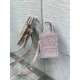 Dior Mini Dioriviera Book Tote Phone Bag In Pink Toile de Jouy Reverse Embroidery