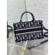 Dior Mini Book Tote with Strap in Blue Dior Oblique Embroidery