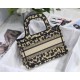 Dior Mini Book Tote Bag In Beige Multicolor Mizza Embroidery