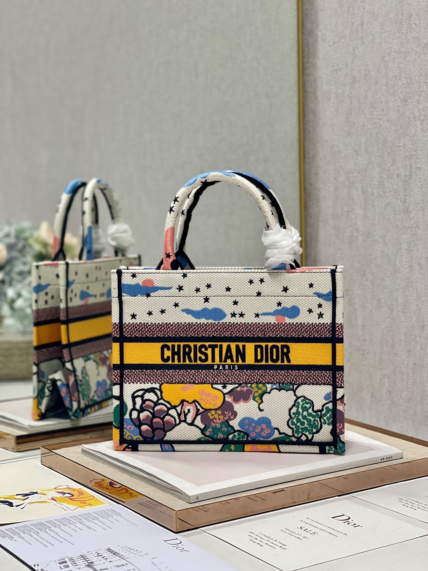 Dior Small Book Tote Bag In Ciel de Reve Embroidery