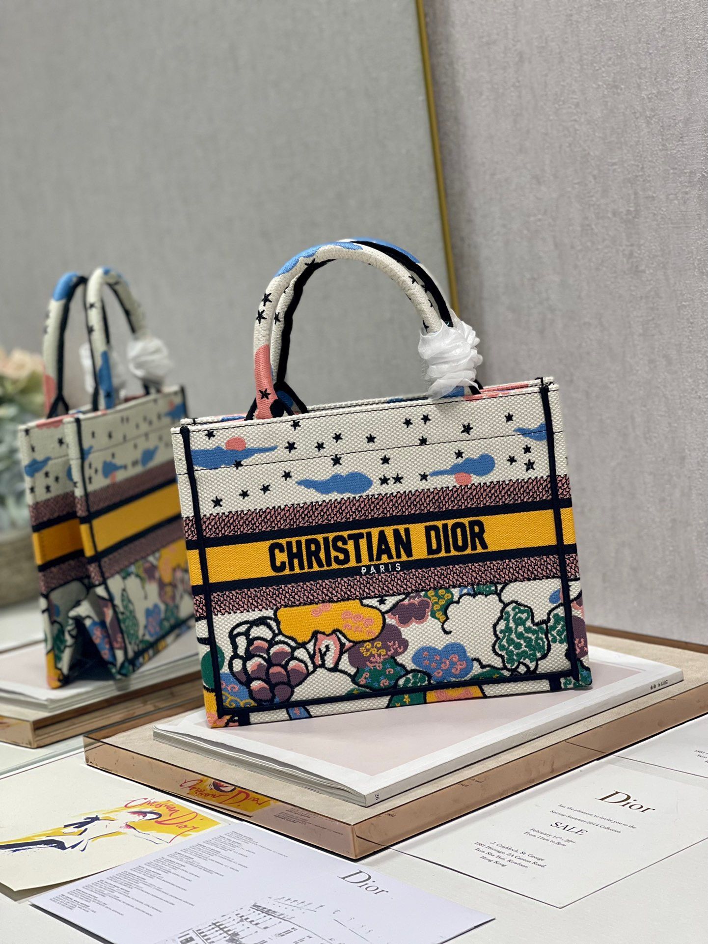 Dior Small Book Tote Bag In Ciel de Reve Embroidery