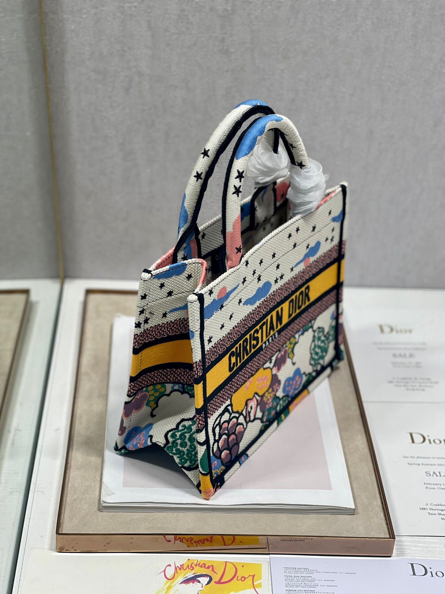 Dior Small Book Tote Bag In Ciel de Reve Embroidery