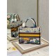 Dior Small Book Tote Bag In Ciel de Reve Embroidery