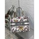 Dior Small Book Tote Bag In White Jardin Botanique Embroidery