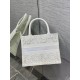 Dior Small Book Tote Bag In Natural Macrame-Effect Embroidery