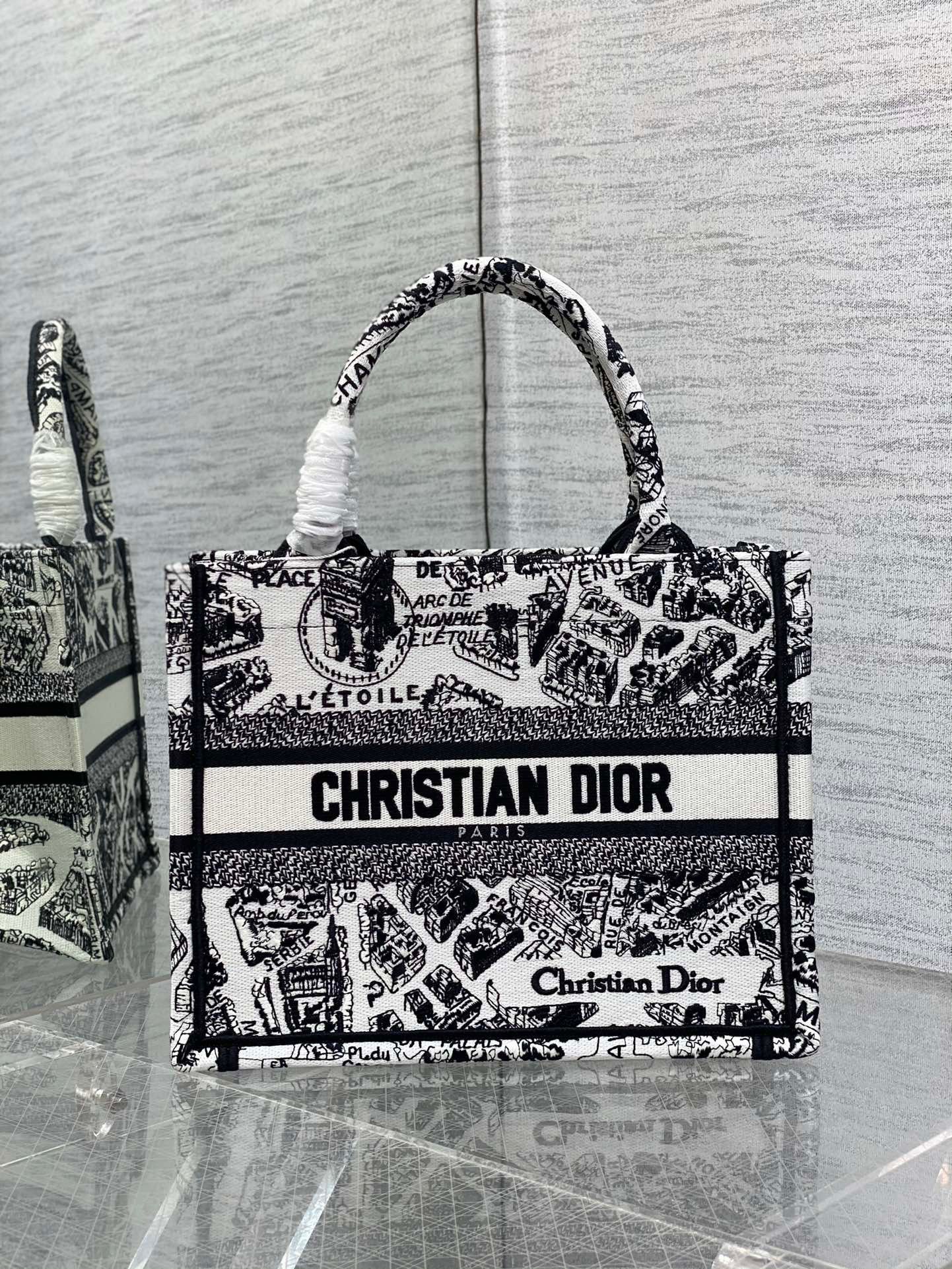 Dior Small Book Tote Bag In White Plan de Paris Embroidery