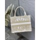 Dior Small Book Tote Bag In Gold Rêve d'Infini Embroidery