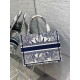 Dior Small Book Tote Bag In White & Blue Rêve d'Infini Embroidery