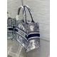 Dior Small Book Tote Bag In White & Blue Rêve d'Infini Embroidery