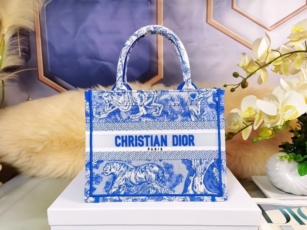 Dior Small Book Tote Bag In Blue Transparent Toile de Jouy Canvas