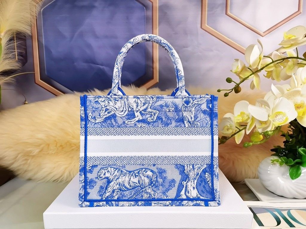 Dior Small Book Tote Bag In Blue Transparent Toile de Jouy Canvas