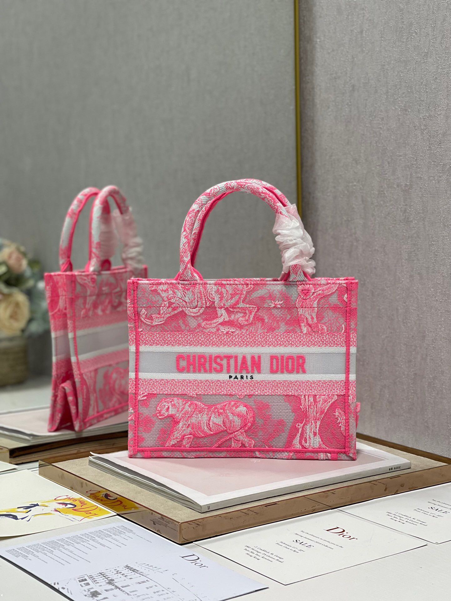 Dior Small Book Tote Bag In Pink Transparent Toile de Jouy Canvas