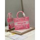 Dior Small Book Tote Bag In Pink Transparent Toile de Jouy Canvas