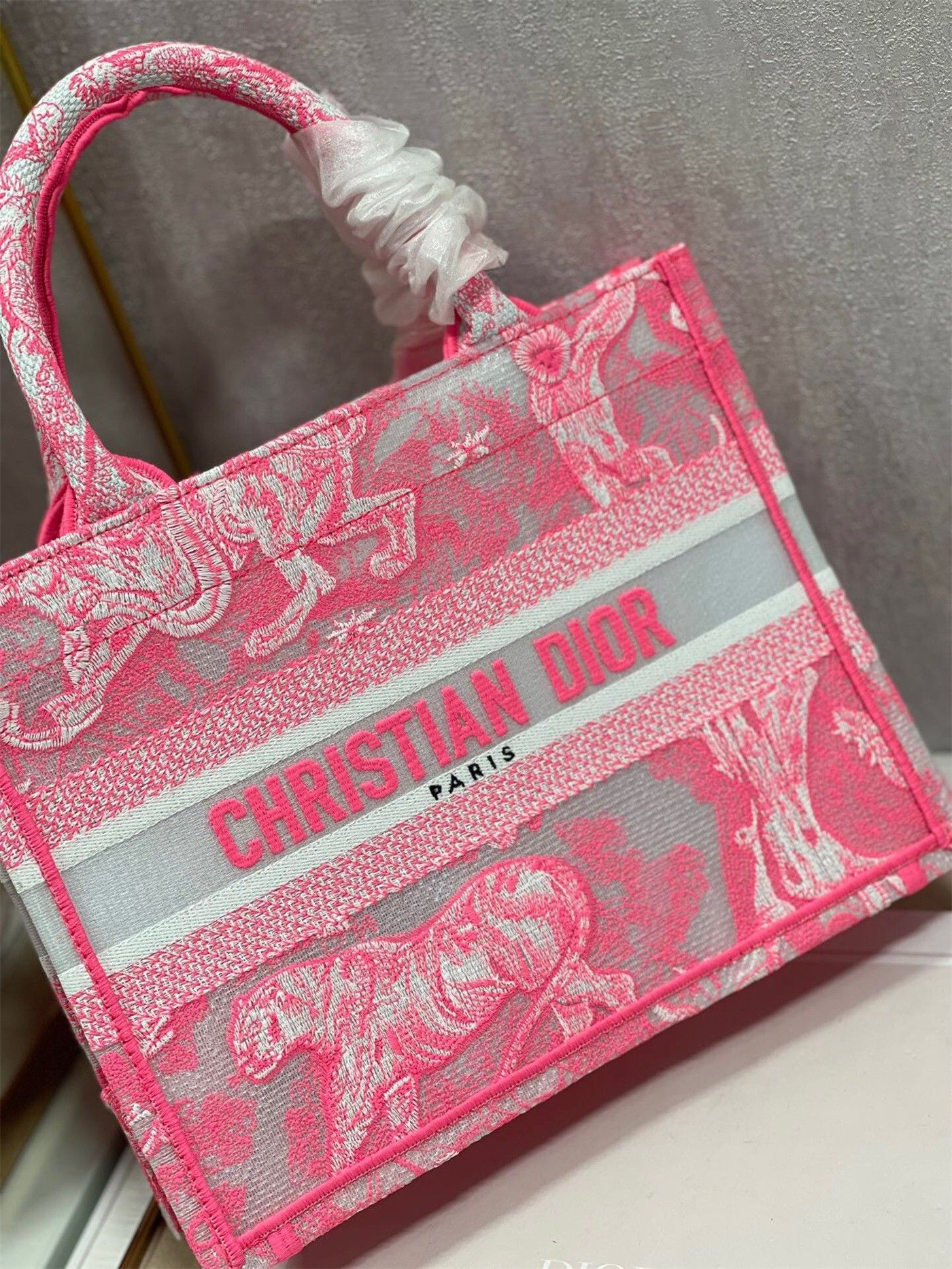 Dior Small Book Tote Bag In Pink Transparent Toile de Jouy Canvas