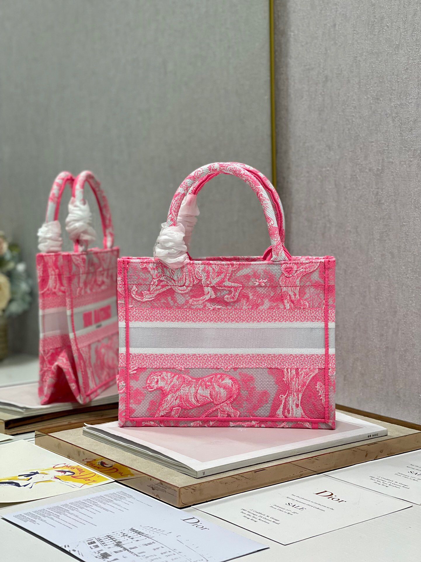 Dior Small Book Tote Bag In Pink Transparent Toile de Jouy Canvas