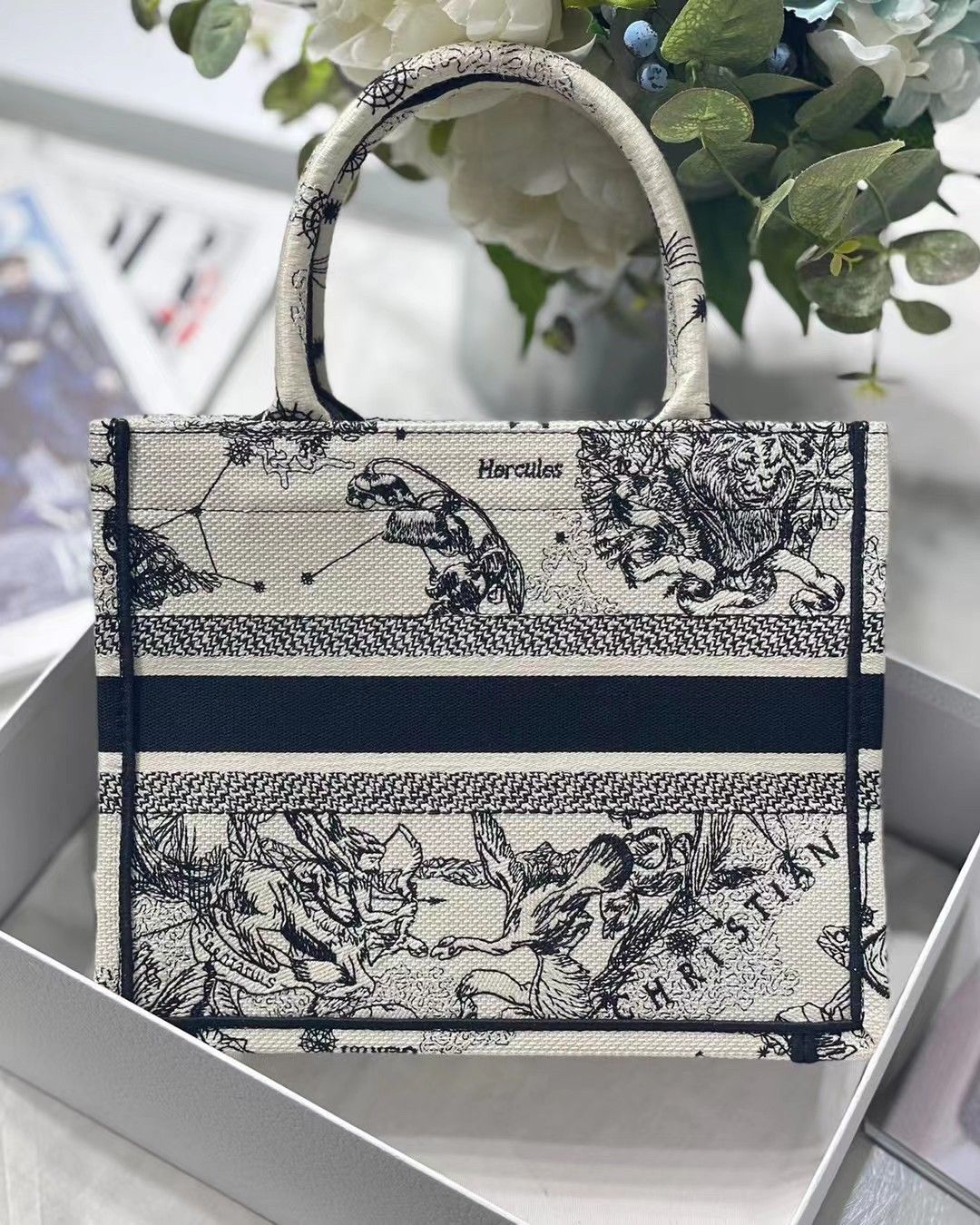 Dior Small Book Tote Bag In White Toile de Jouy Zodiac Embroidery