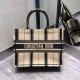 Dior Medium Book Tote Bag In Black and Beige Bayadère Embroidered