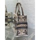 Dior Medium Book Tote Bag in Beige Butterfly Bandana Embroidery