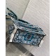 Dior Medium Book Tote Bag in Blue Butterfly Bandana Embroidery