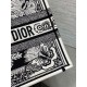 Dior Medium Book Tote Bag in Black and White Butterfly Bandana Embroidery