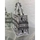 Dior Medium Book Tote Bag in Black and White Butterfly Bandana Embroidery