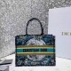 Dior Medium Book Tote Bag In Blue Dior Constellation Embroidery