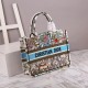 Dior Medium Book Tote Bag In Latte D-Constellation Embroidery