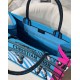 Dior Medium Book Tote Bag In Blue D-Jungle Pop Embroidery