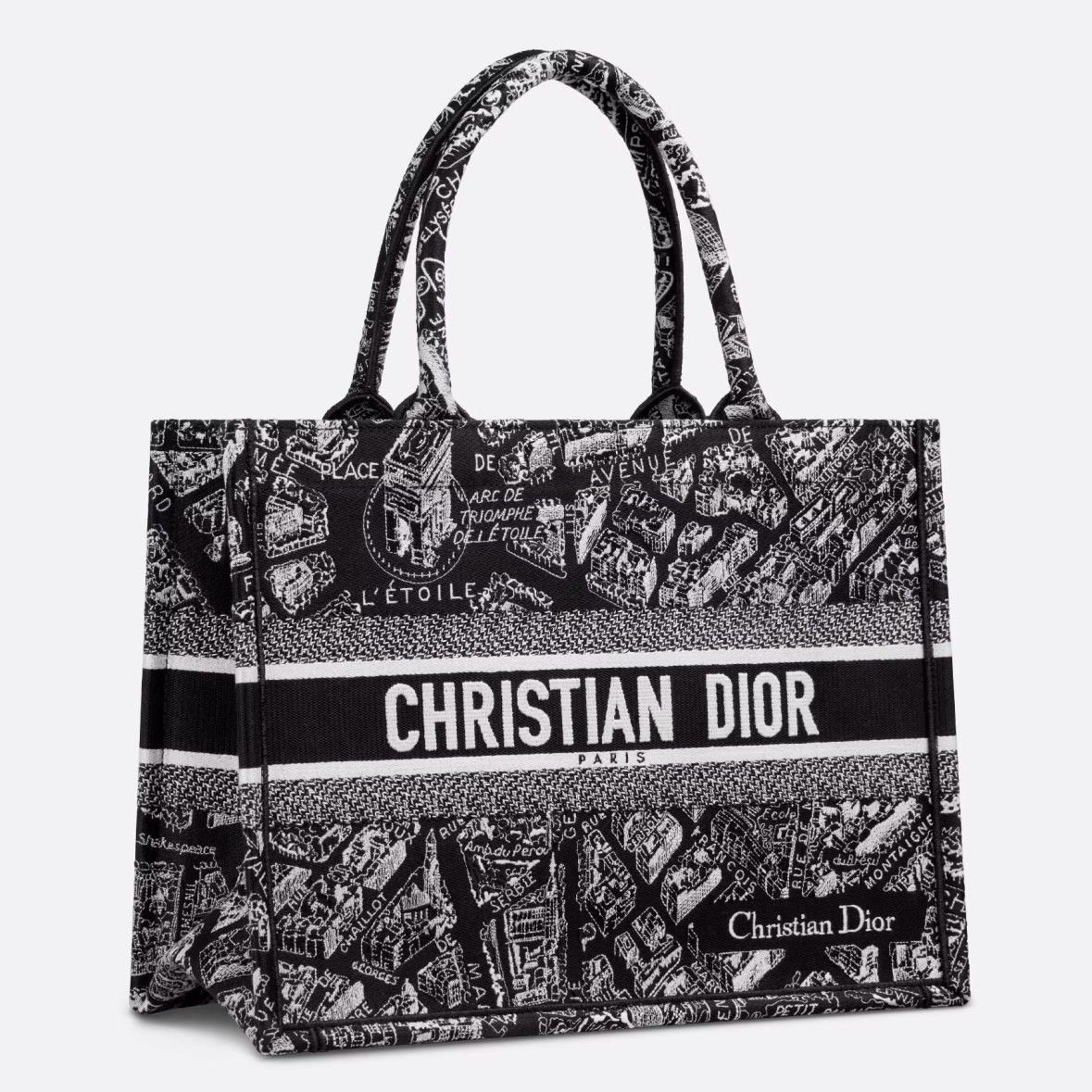 Dior Medium Book Tote Bag In Black Plan de Paris Embroidery