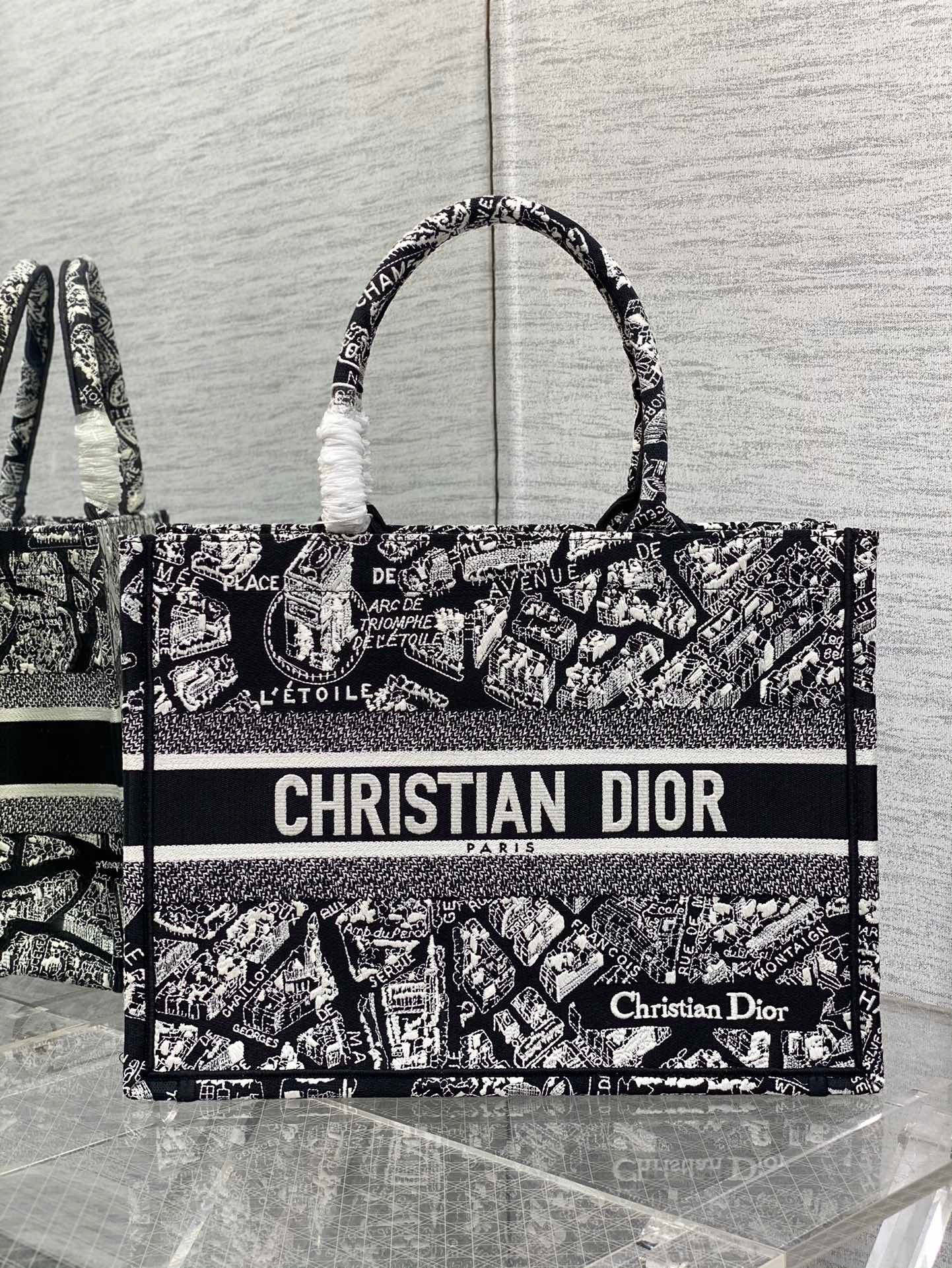 Dior Medium Book Tote Bag In Black Plan de Paris Embroidery