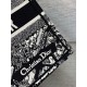 Dior Medium Book Tote Bag In Black Plan de Paris Embroidery