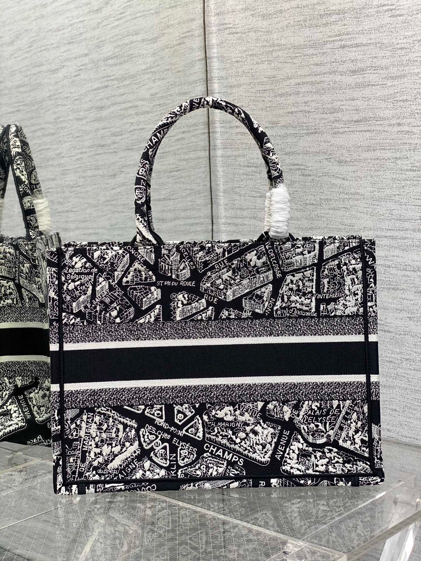 Dior Medium Book Tote Bag In Black Plan de Paris Embroidery