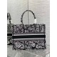 Dior Medium Book Tote Bag In Black Plan de Paris Embroidery