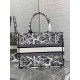 Dior Medium Book Tote Bag In White Plan de Paris Embroidery