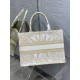 Dior Medium Book Tote Bag In Gold Rêve d'Infini Embroidery