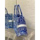 Dior Medium Book Tote Bag In Fluorescent Blue Toile de Jouy Reverse Embroidery