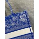 Dior Medium Book Tote Bag In Fluorescent Blue Toile de Jouy Reverse Embroidery