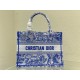 Dior Medium Book Tote Bag In Blue Transparent Toile de Jouy Canvas