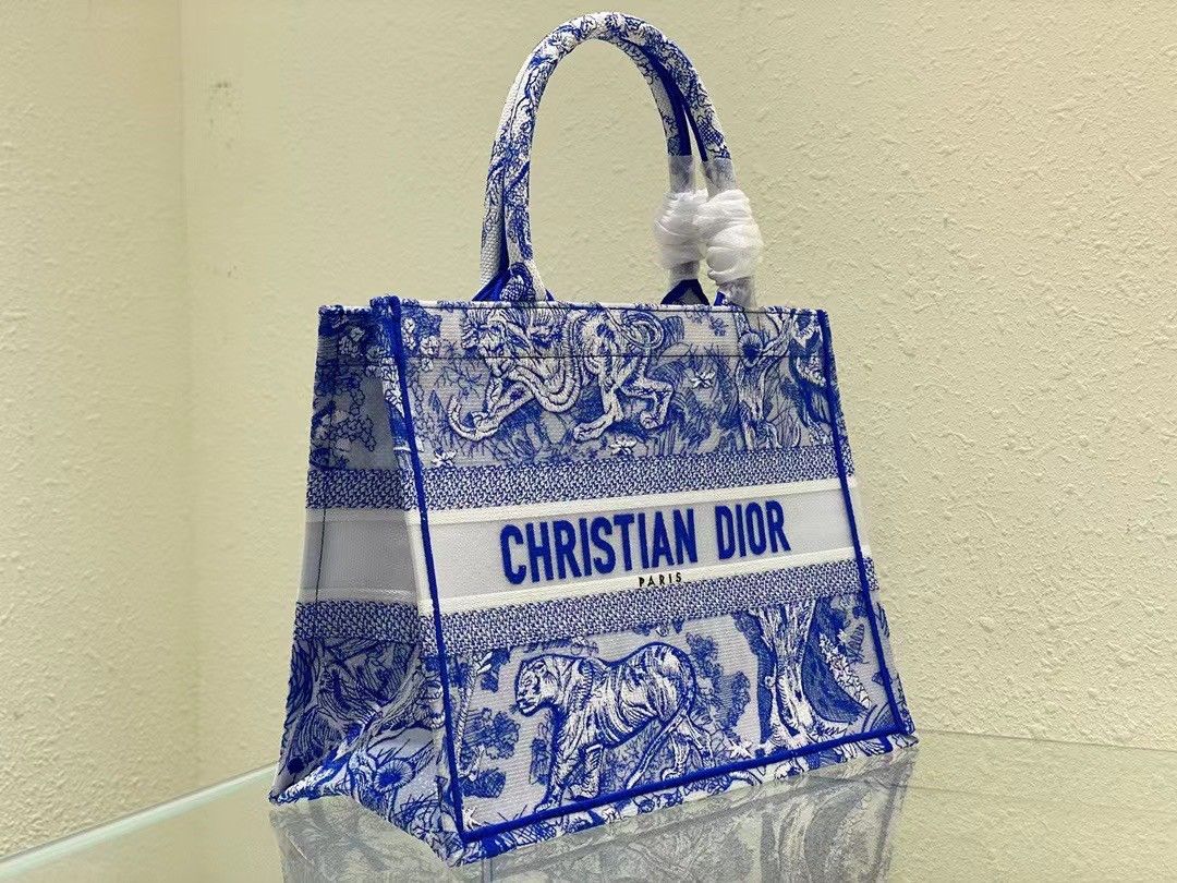 Dior Medium Book Tote Bag In Blue Transparent Toile de Jouy Canvas