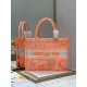 Dior Medium Book Tote Bag In Orange Transparent Toile de Jouy Canvas