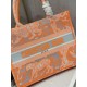 Dior Medium Book Tote Bag In Orange Transparent Toile de Jouy Canvas