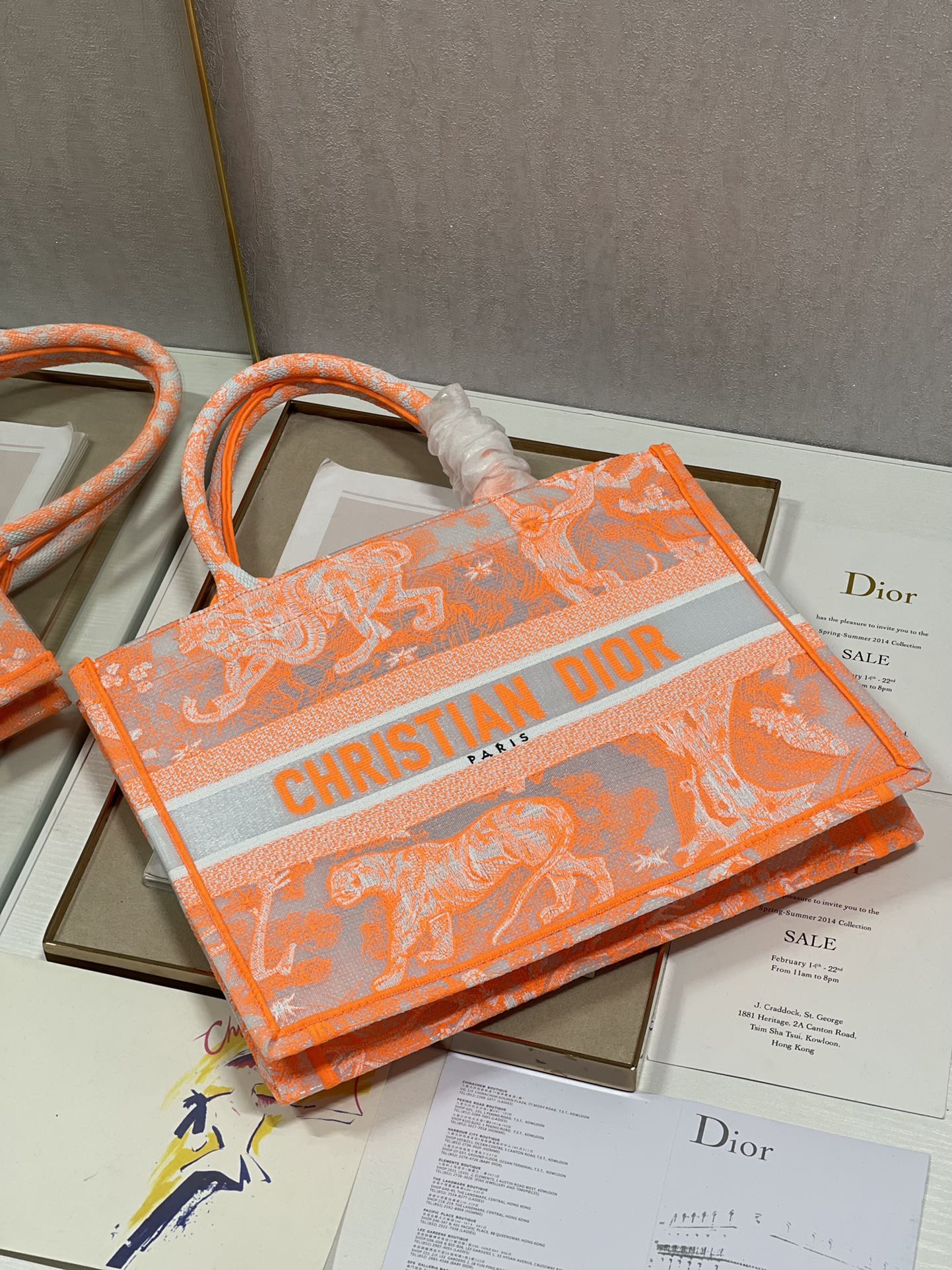 Dior Medium Book Tote Bag In Orange Transparent Toile de Jouy Canvas