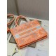 Dior Medium Book Tote Bag In Orange Transparent Toile de Jouy Canvas