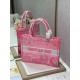 Dior Medium Book Tote Bag In Pink Transparent Toile de Jouy Canvas