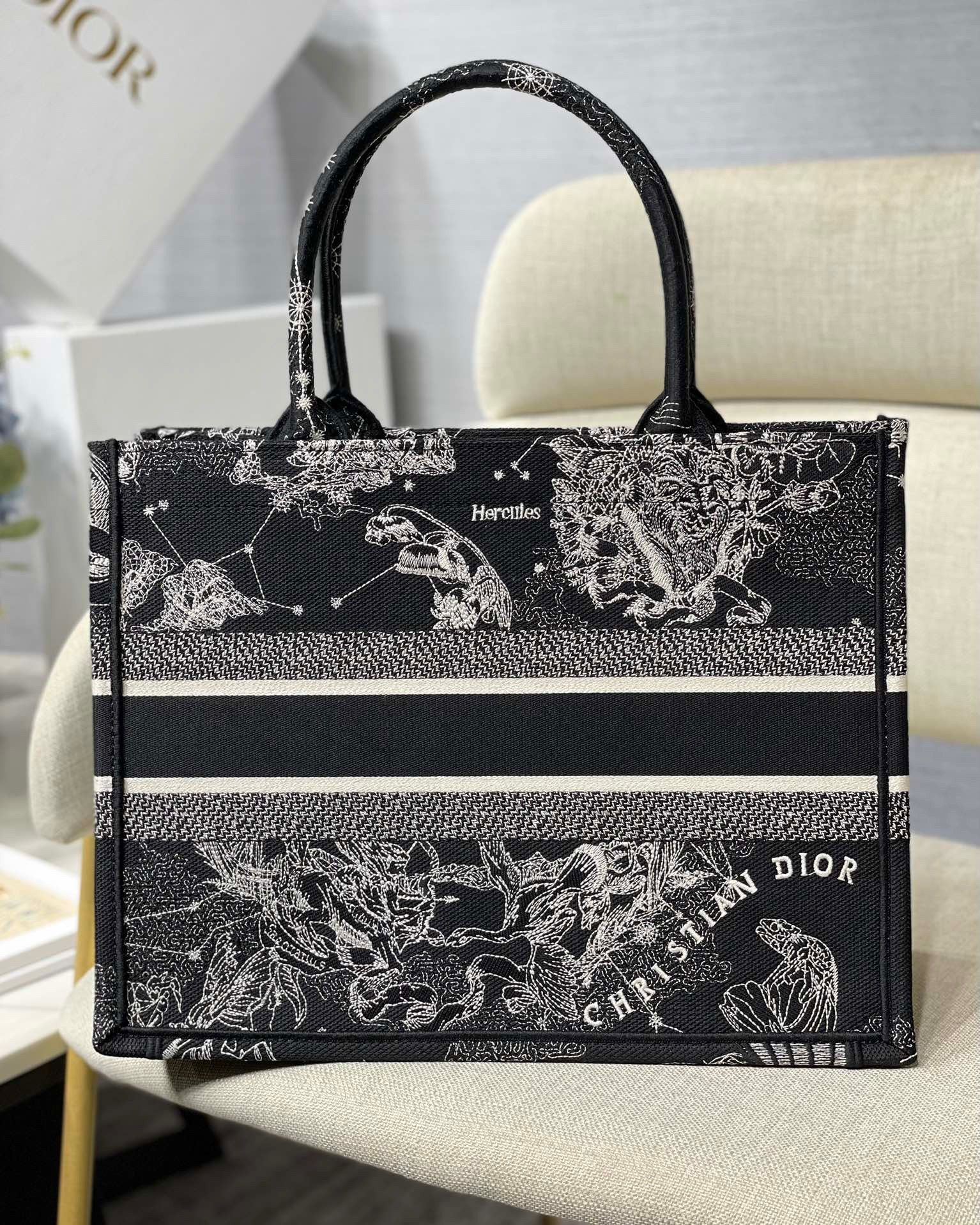 Dior Medium Book Tote Bag In Black Toile de Jouy Zodiac Embroidery