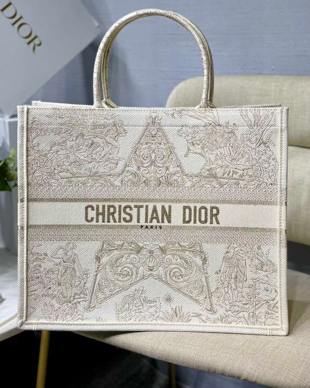 Dior Large Book Tote Bag In Dior Around the World Stella Embroidery