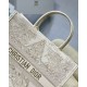 Dior Large Book Tote Bag In Dior Around the World Stella Embroidery